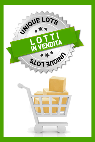 vendita lotti unici